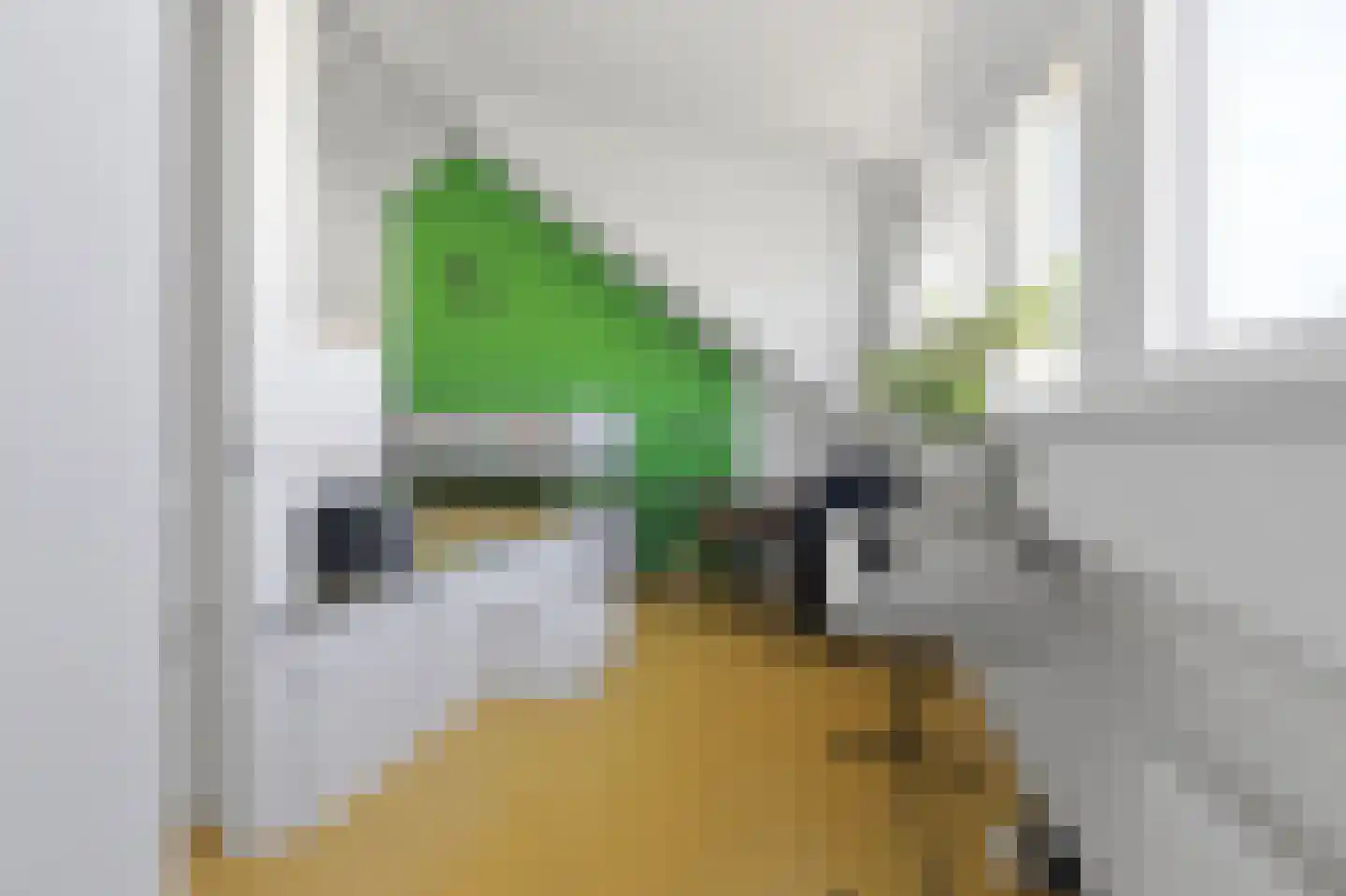 Prof. Bosschastraat 27 Delft thumbnail 32