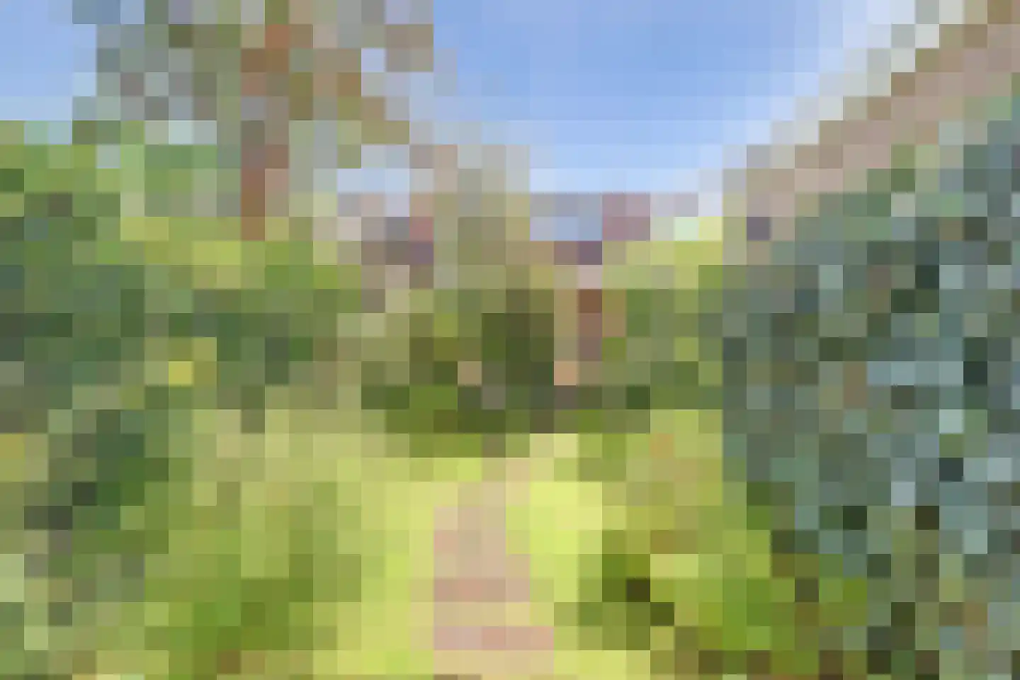 Prof. Broekemalaan 4 Utrecht thumbnail 12