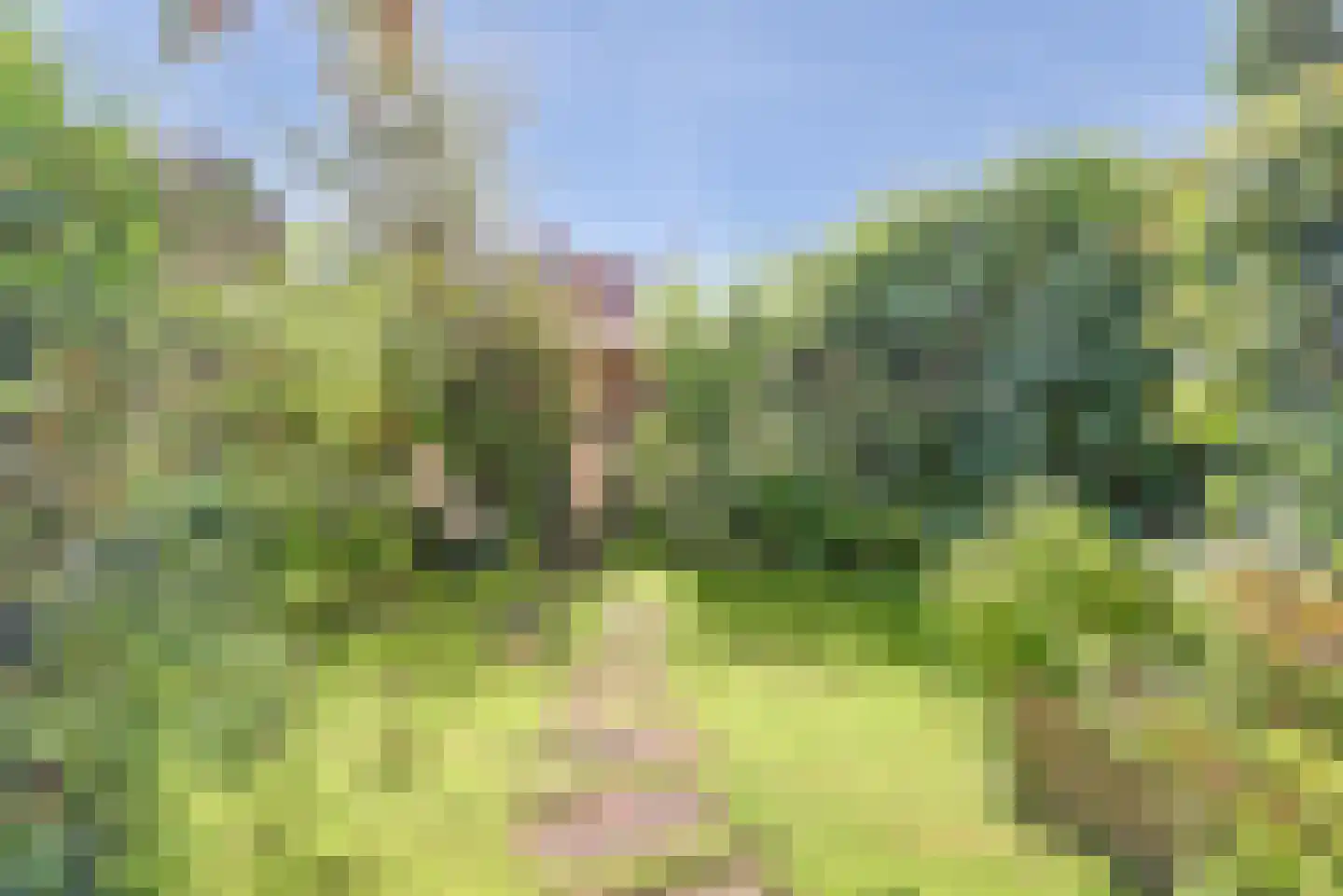 Prof. Broekemalaan 4 Utrecht thumbnail 13