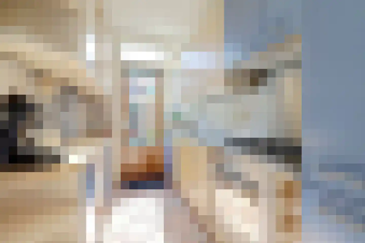 Prof. Broekemalaan 4 Utrecht thumbnail 23