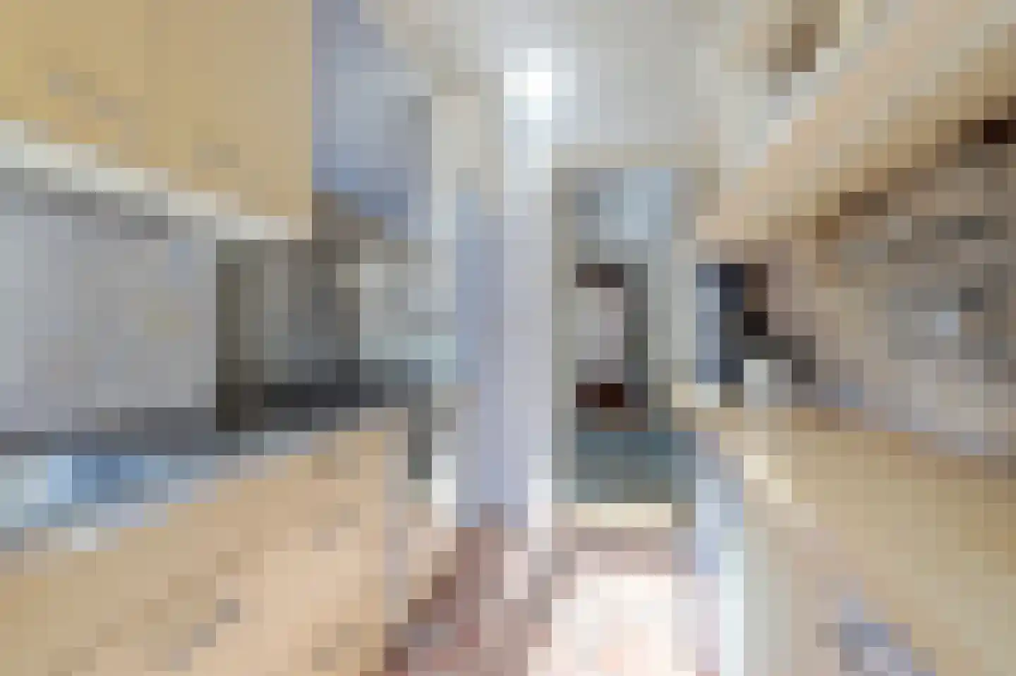 Prof. Broekemalaan 4 Utrecht thumbnail 24
