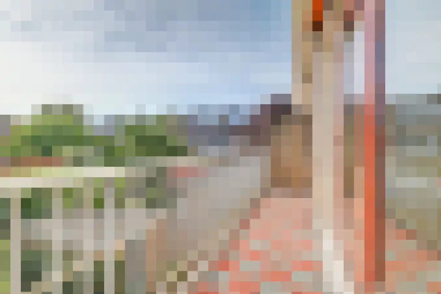 Prof. Broekemalaan 4 Utrecht thumbnail 33