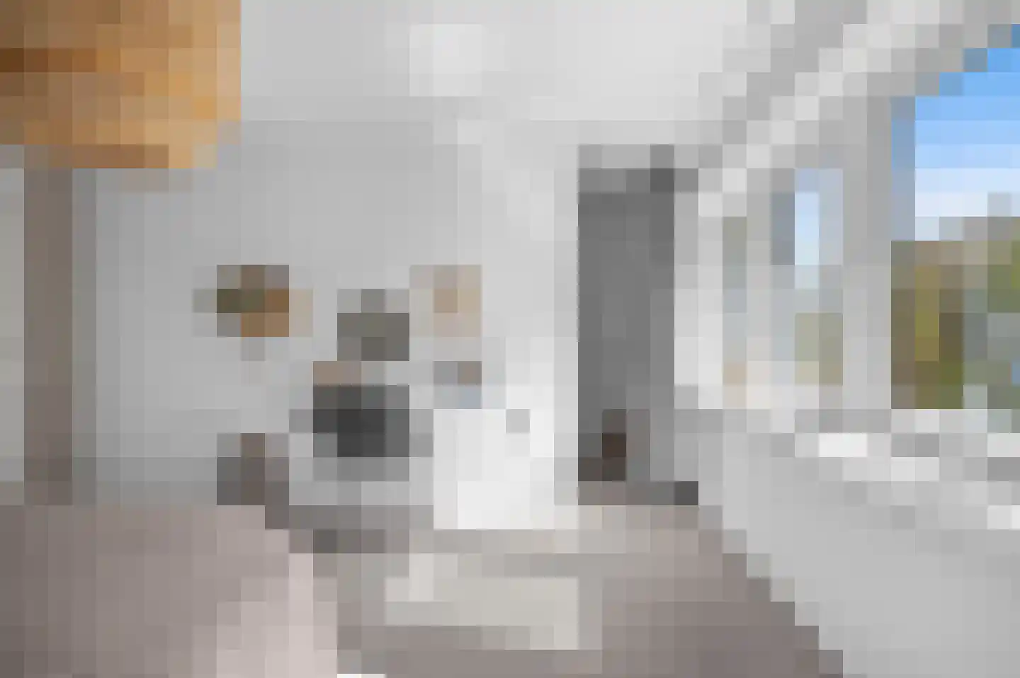 Prof. C. Eijkmanstraat 14 Deventer thumbnail 25