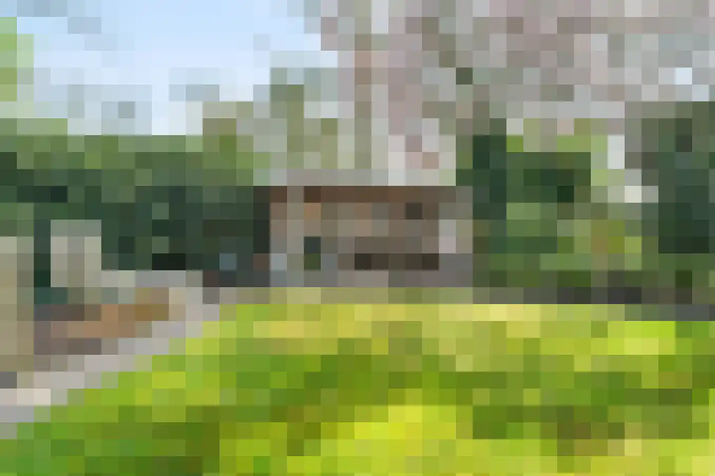 Prof. C. Eijkmanstraat 14 Deventer thumbnail 45