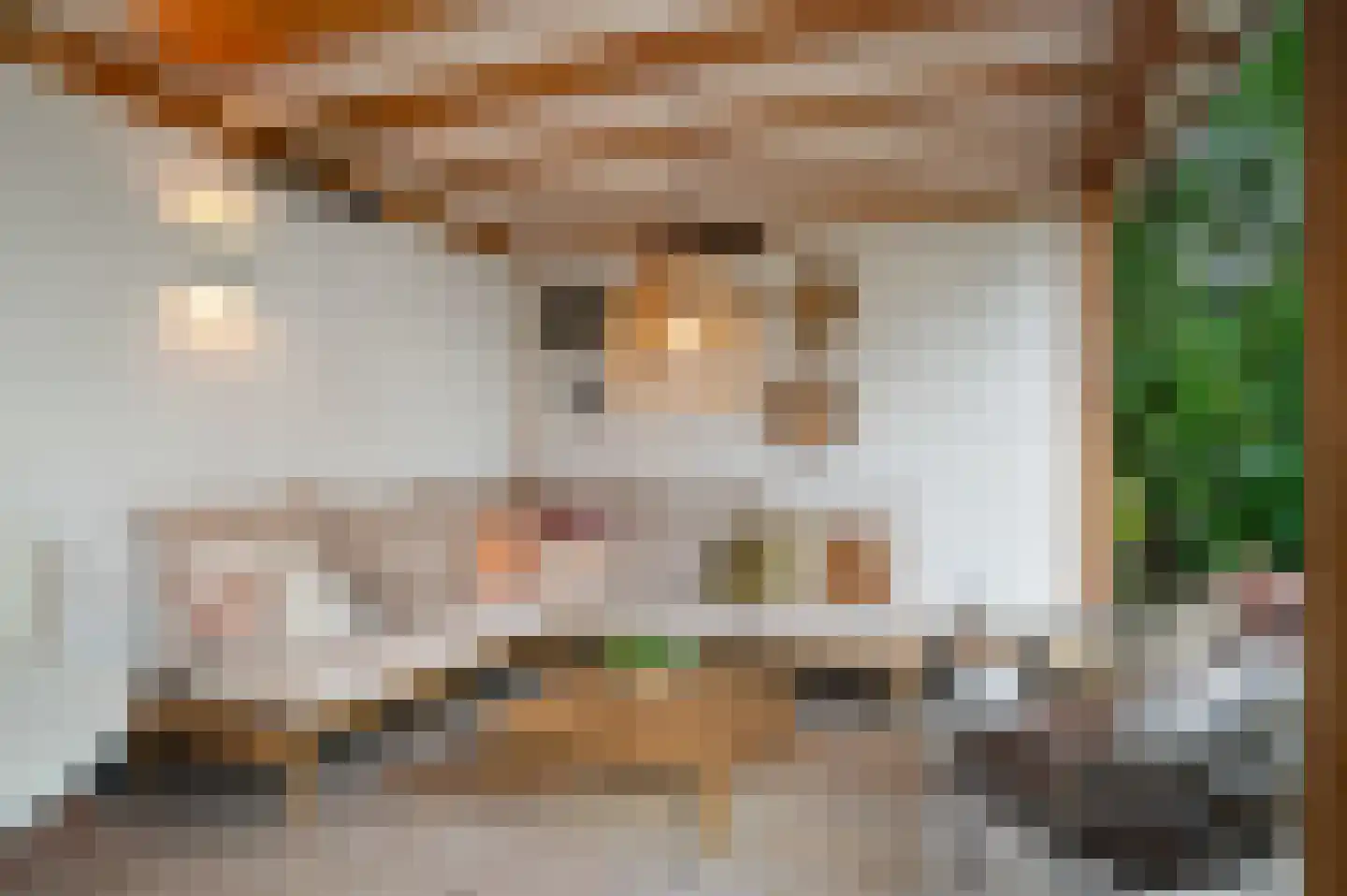 Prof. C. Eijkmanstraat 14 Deventer thumbnail 46