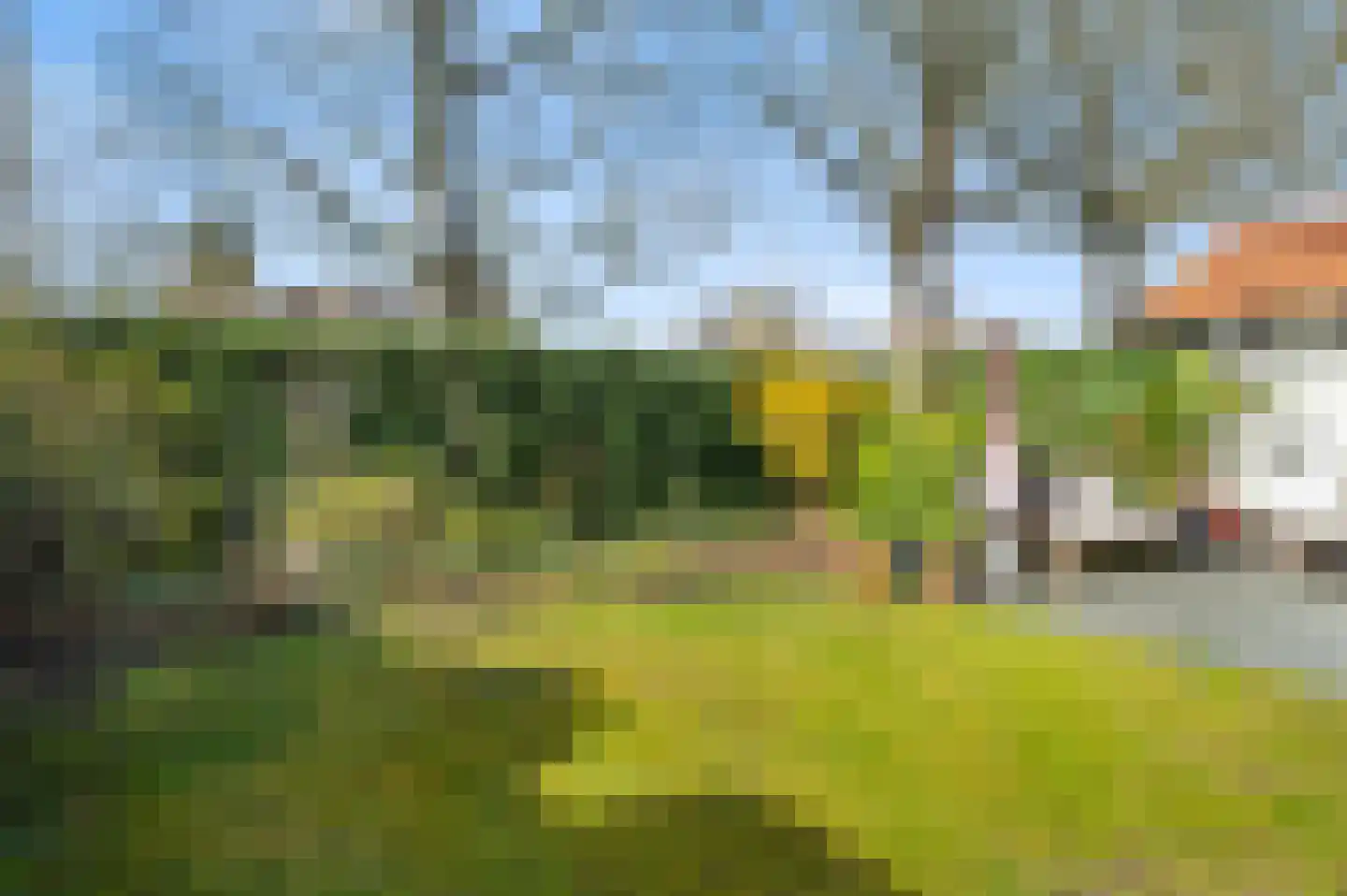 Prof. C. Eijkmanstraat 14 Deventer thumbnail 52