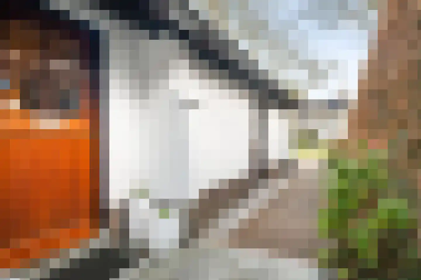 Prof. C. Eijkmanstraat 14 Deventer thumbnail 56