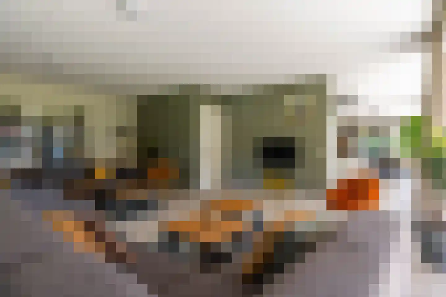 Prof. Casimirweg 2 Eibergen thumbnail 10