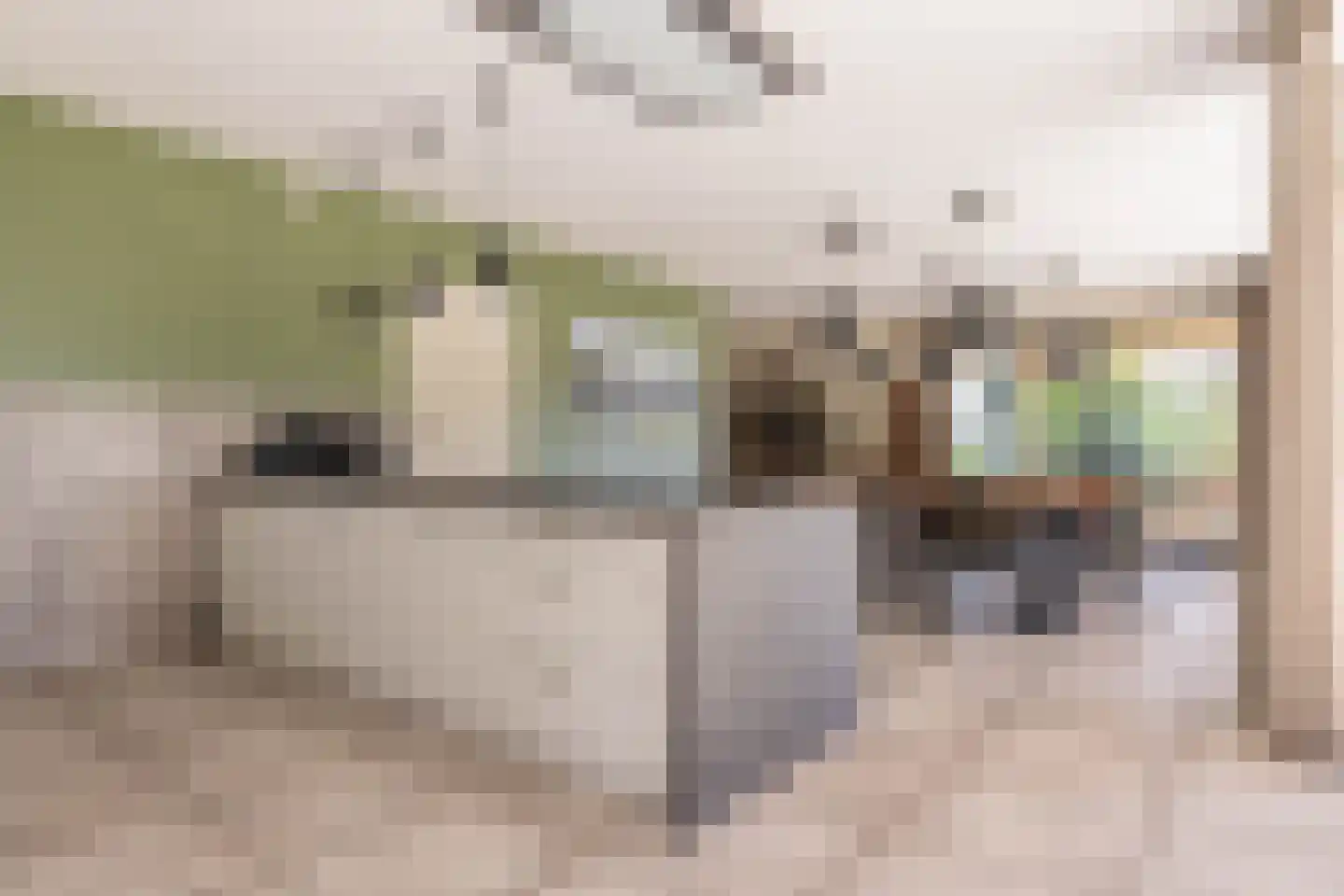Prof. Casimirweg 2 Eibergen thumbnail 11