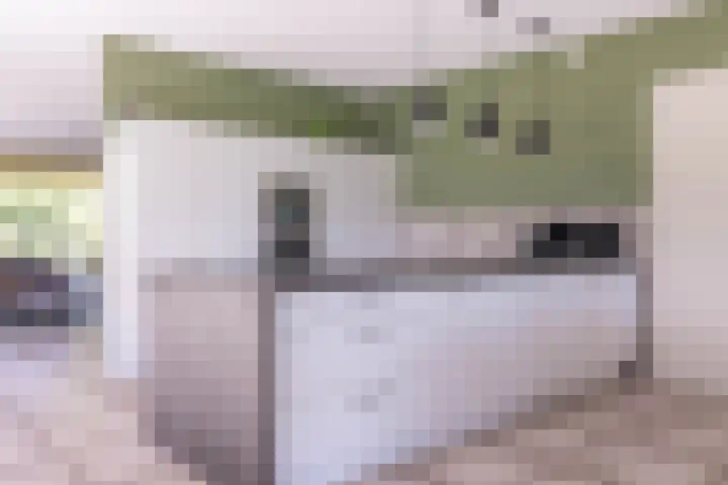 Prof. Casimirweg 2 Eibergen thumbnail 13