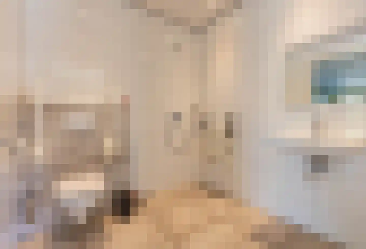 Prof. Casimirweg 2 Eibergen thumbnail 18