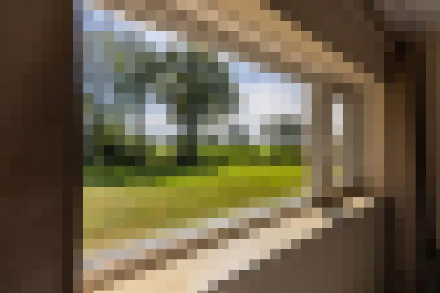 Prof. Casimirweg 2 Eibergen thumbnail 21