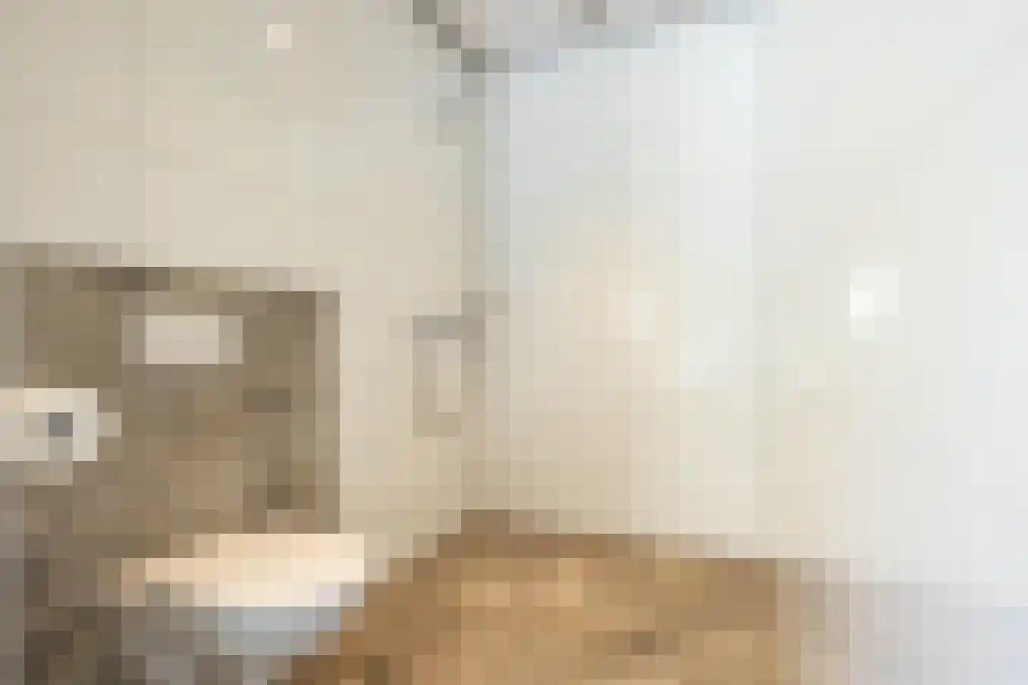 Prof. Casimirweg 2 Eibergen thumbnail 22