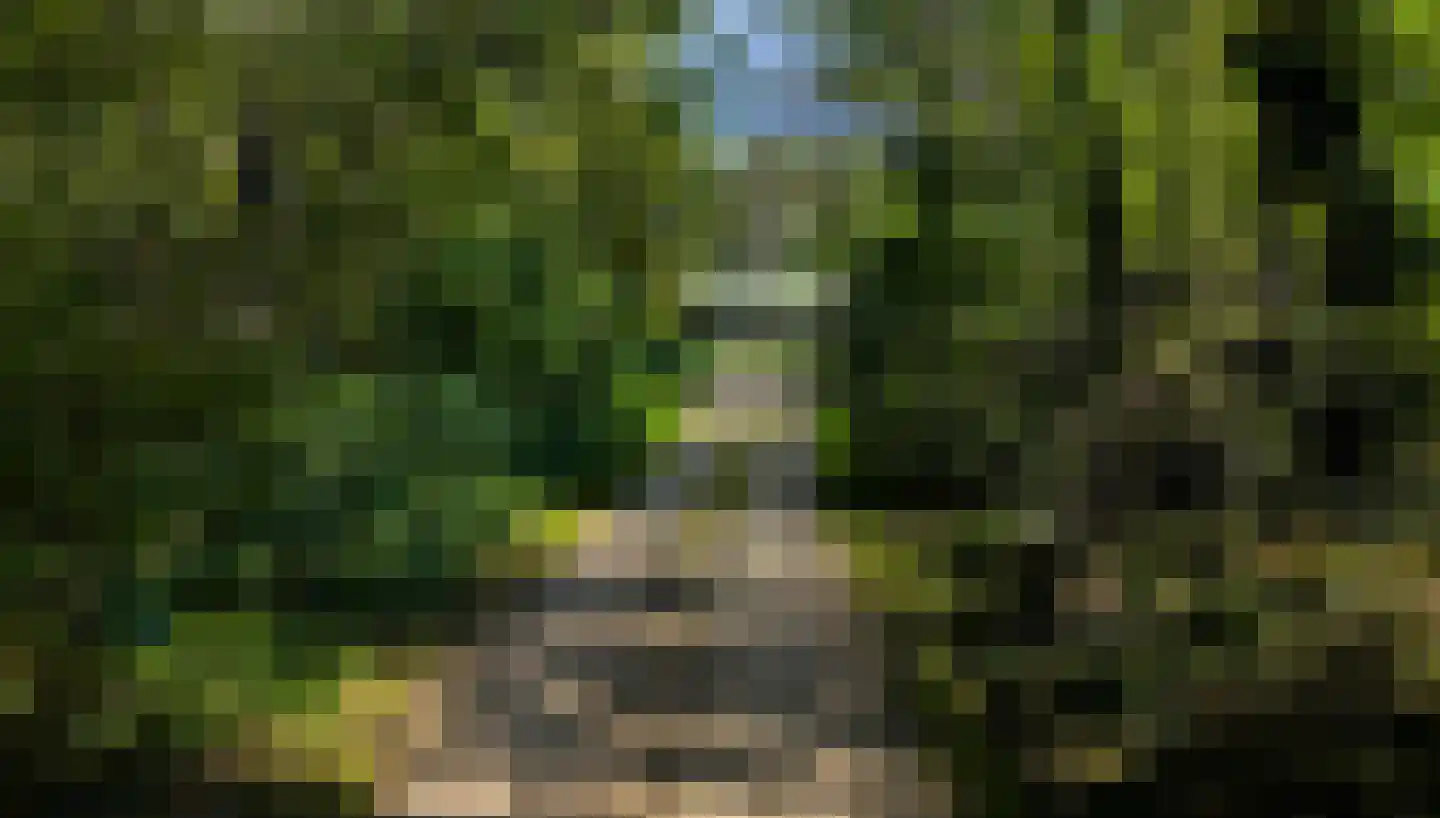 Prof. Casimirweg 2 Eibergen thumbnail 38