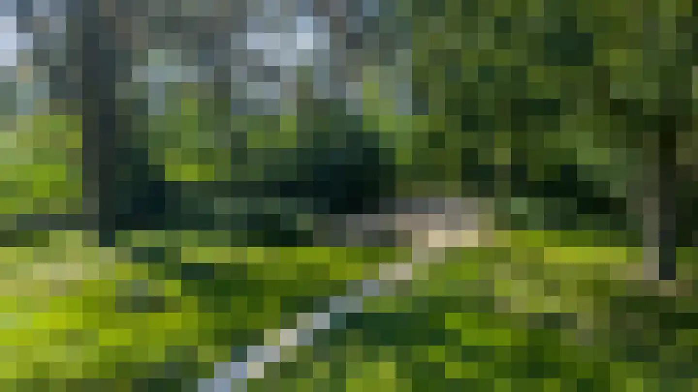 Prof. Casimirweg 2 Eibergen thumbnail 39