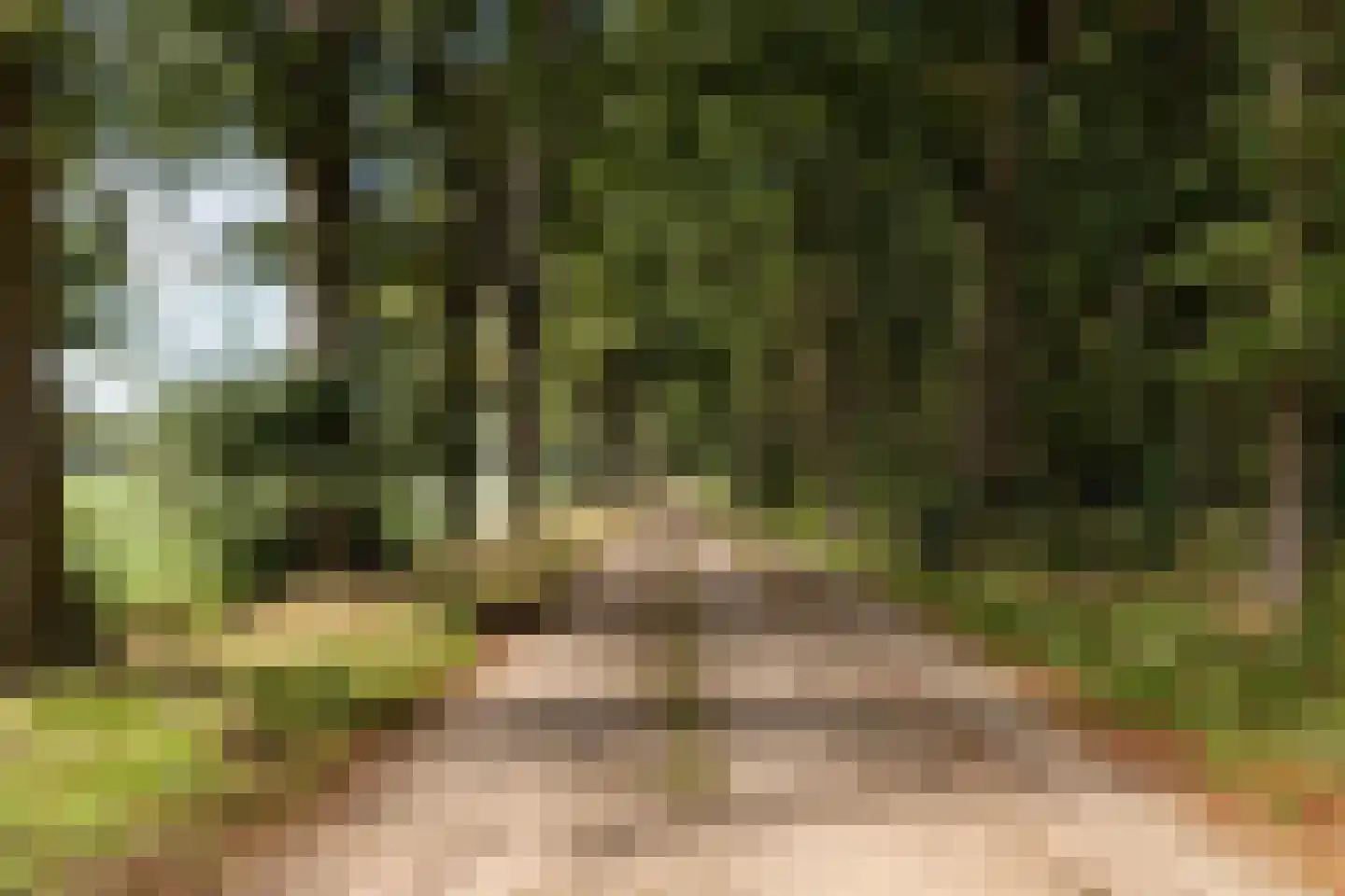 Prof. Casimirweg 2 Eibergen thumbnail 43