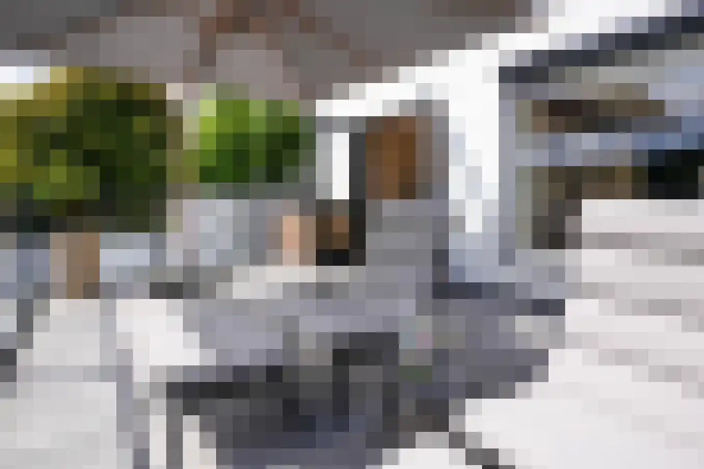 Prof. Cobbenhagenstraat 11 Gulpen thumbnail 16