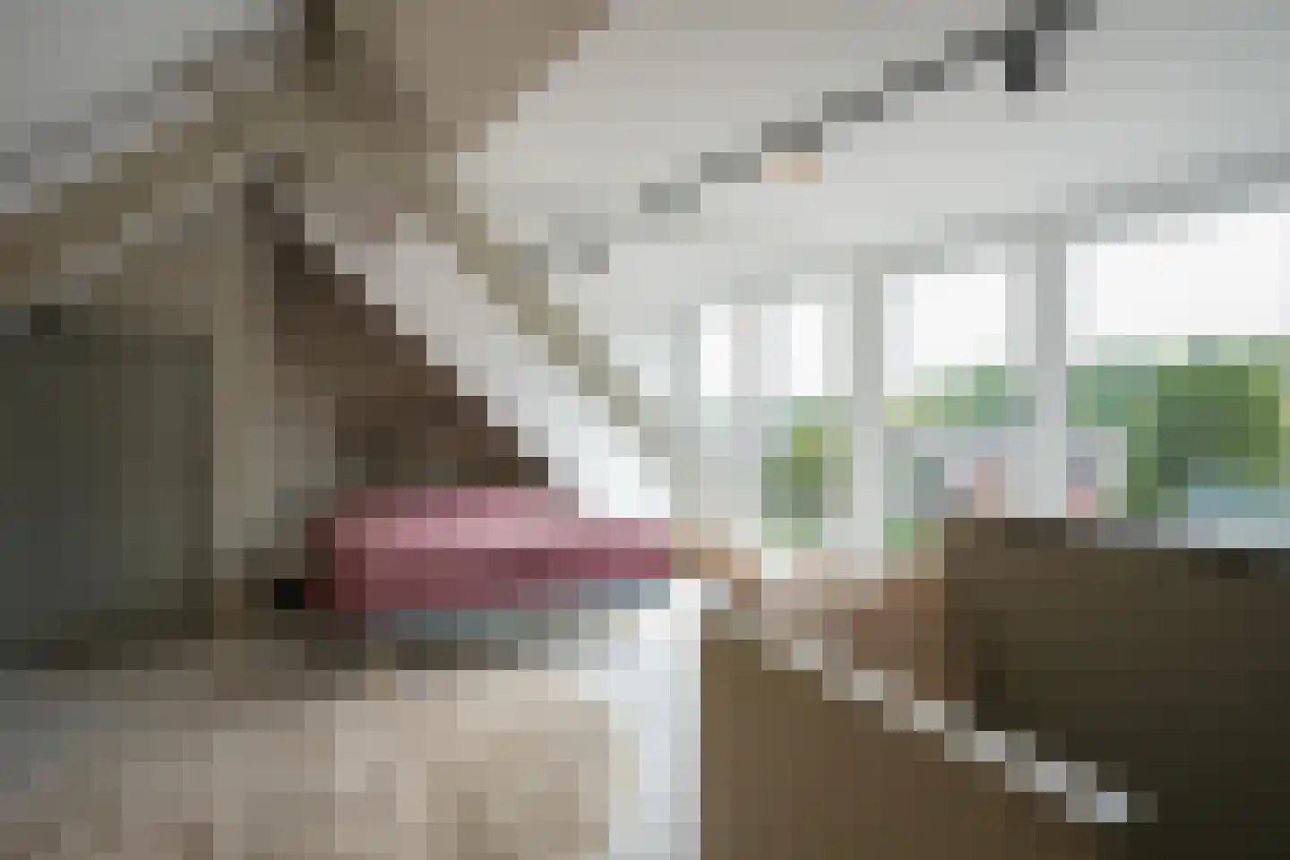 Prof. Cobbenhagenstraat 11 Gulpen thumbnail 26