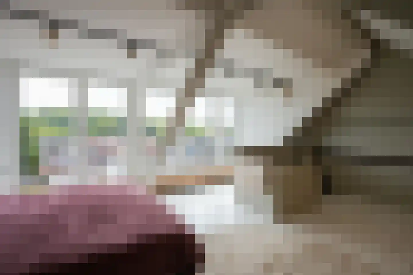 Prof. Cobbenhagenstraat 11 Gulpen thumbnail 27