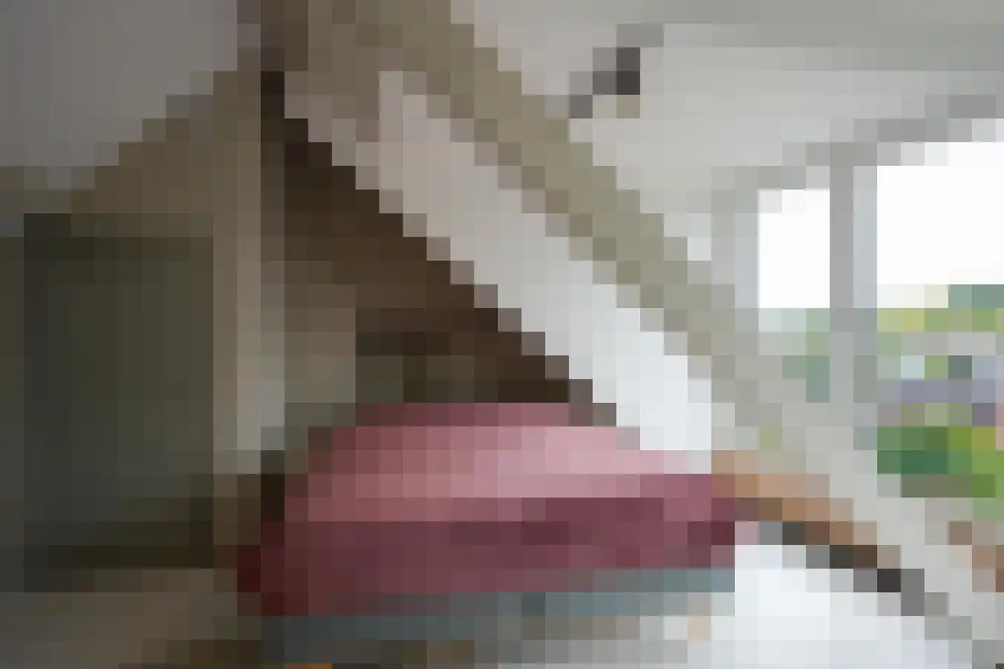 Prof. Cobbenhagenstraat 11 Gulpen thumbnail 28