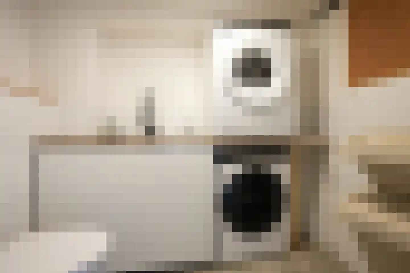 Prof. Cobbenhagenstraat 11 Gulpen thumbnail 30