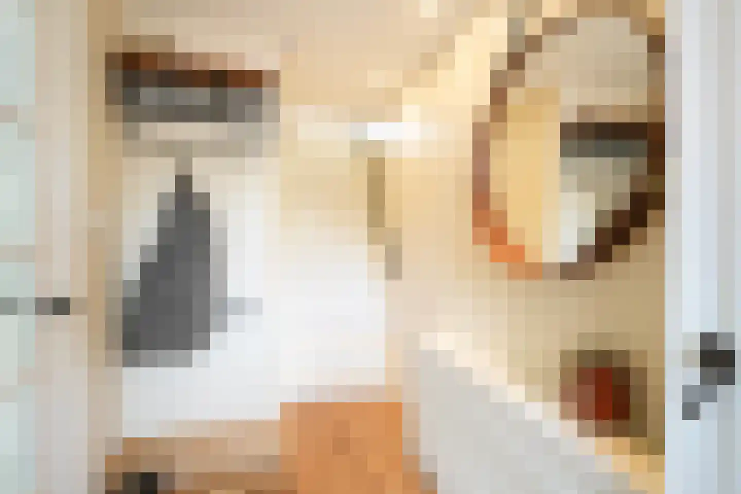 Prof. Cobbenhagenstraat 11 Gulpen thumbnail 5