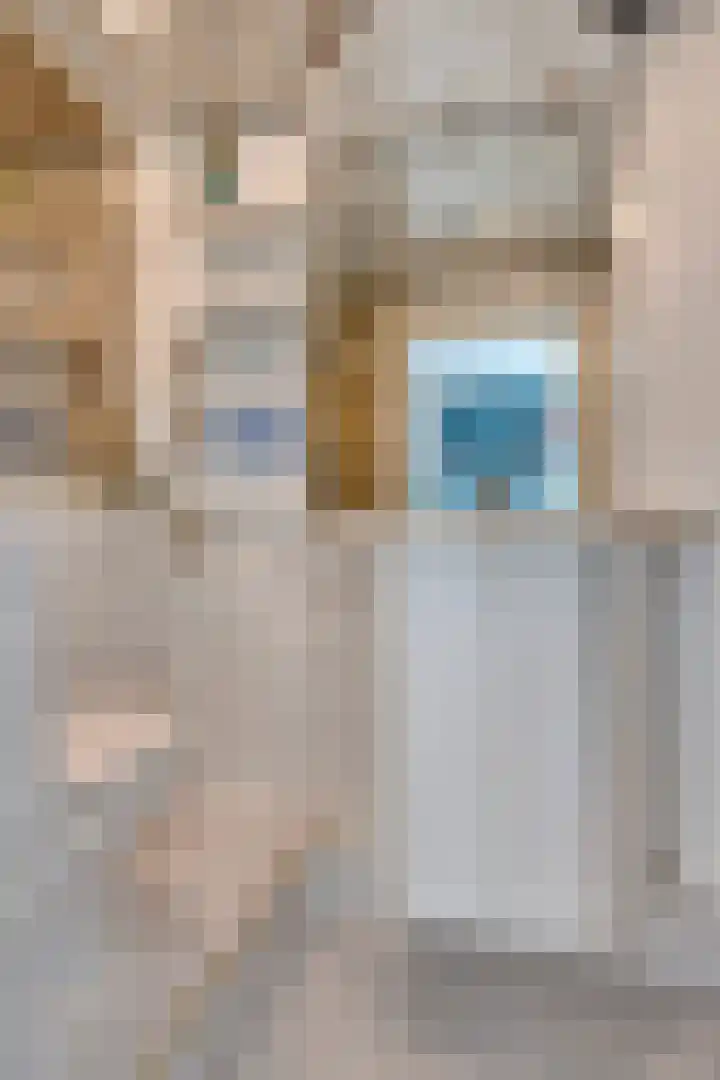 Prof. Cobbenhagenstraat 21 Gulpen thumbnail 14