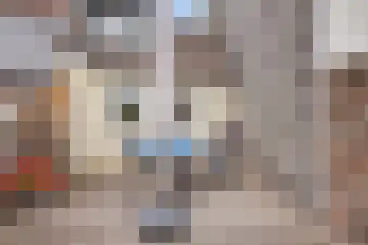 Prof. Cobbenhagenstraat 21 Gulpen thumbnail 24