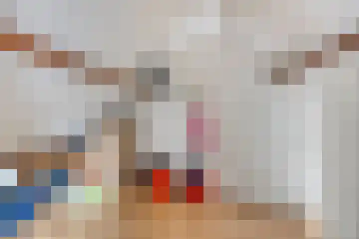 Prof. Cobbenhagenstraat 21 Gulpen thumbnail 27