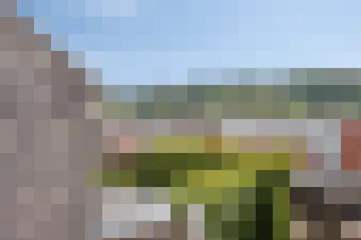 Prof. Cobbenhagenstraat 21 Gulpen thumbnail 29