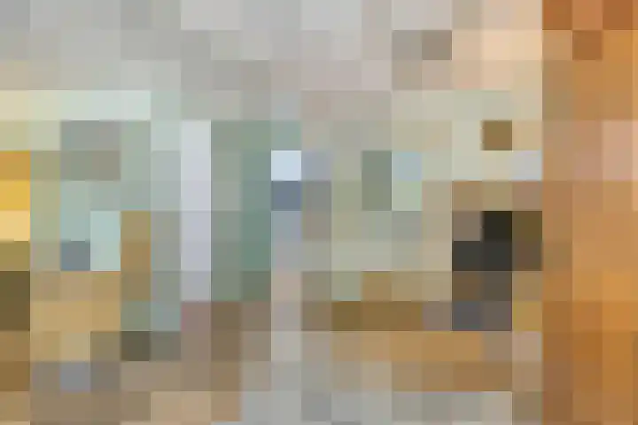 Prof. Cobbenhagenstraat 21 Gulpen thumbnail 4