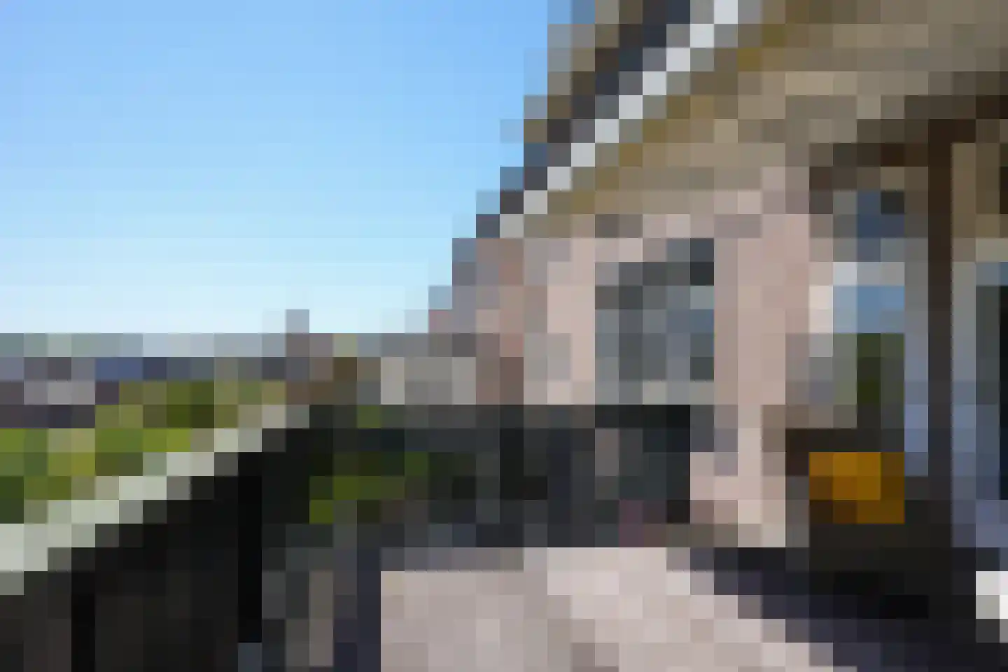 Prof. Cobbenhagenstraat 3 Gulpen thumbnail 13