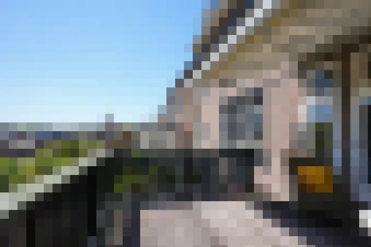 Prof. Cobbenhagenstraat 3 Gulpen thumbnail 15