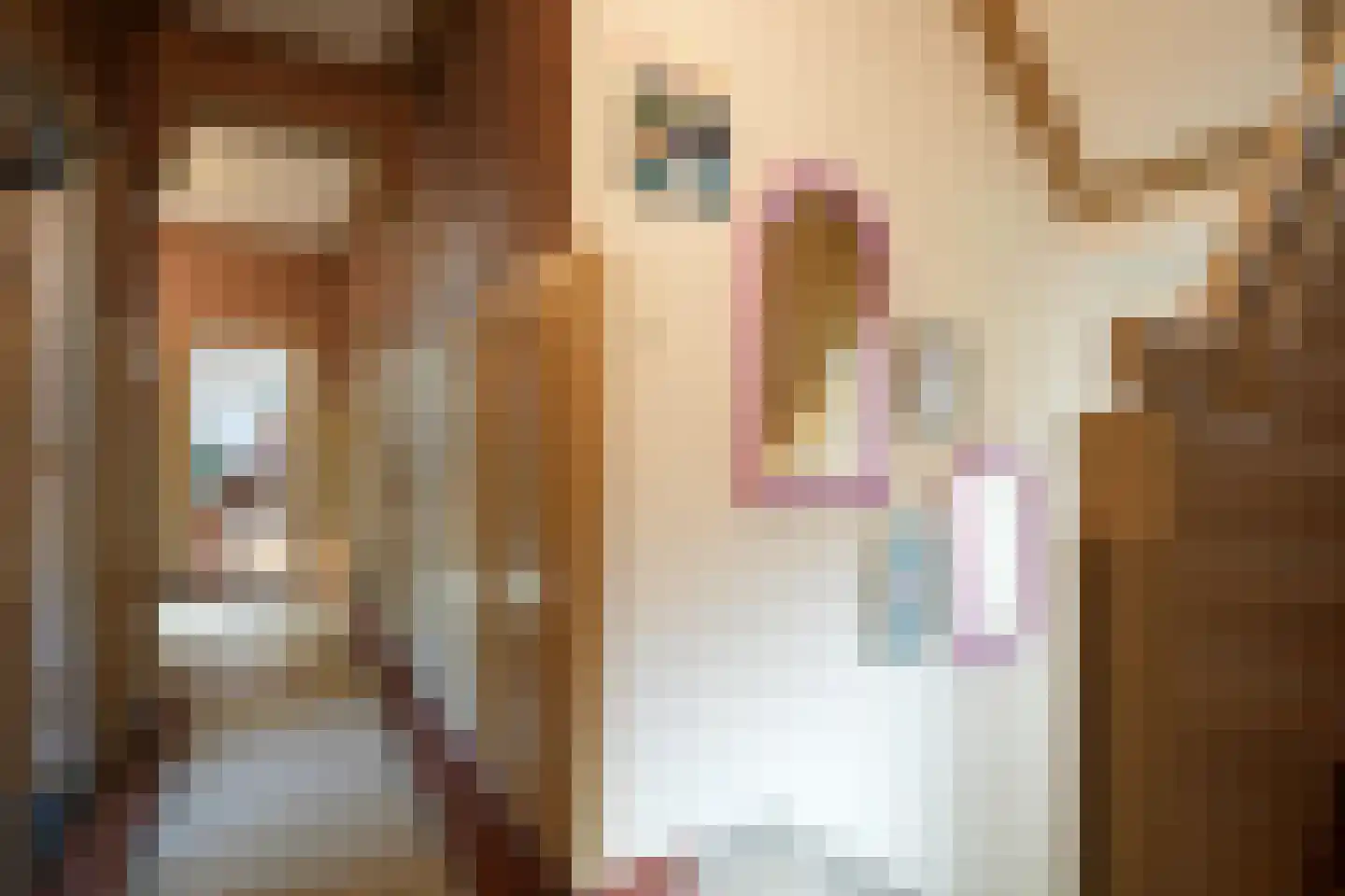 Prof. Cobbenhagenstraat 3 Gulpen thumbnail 17