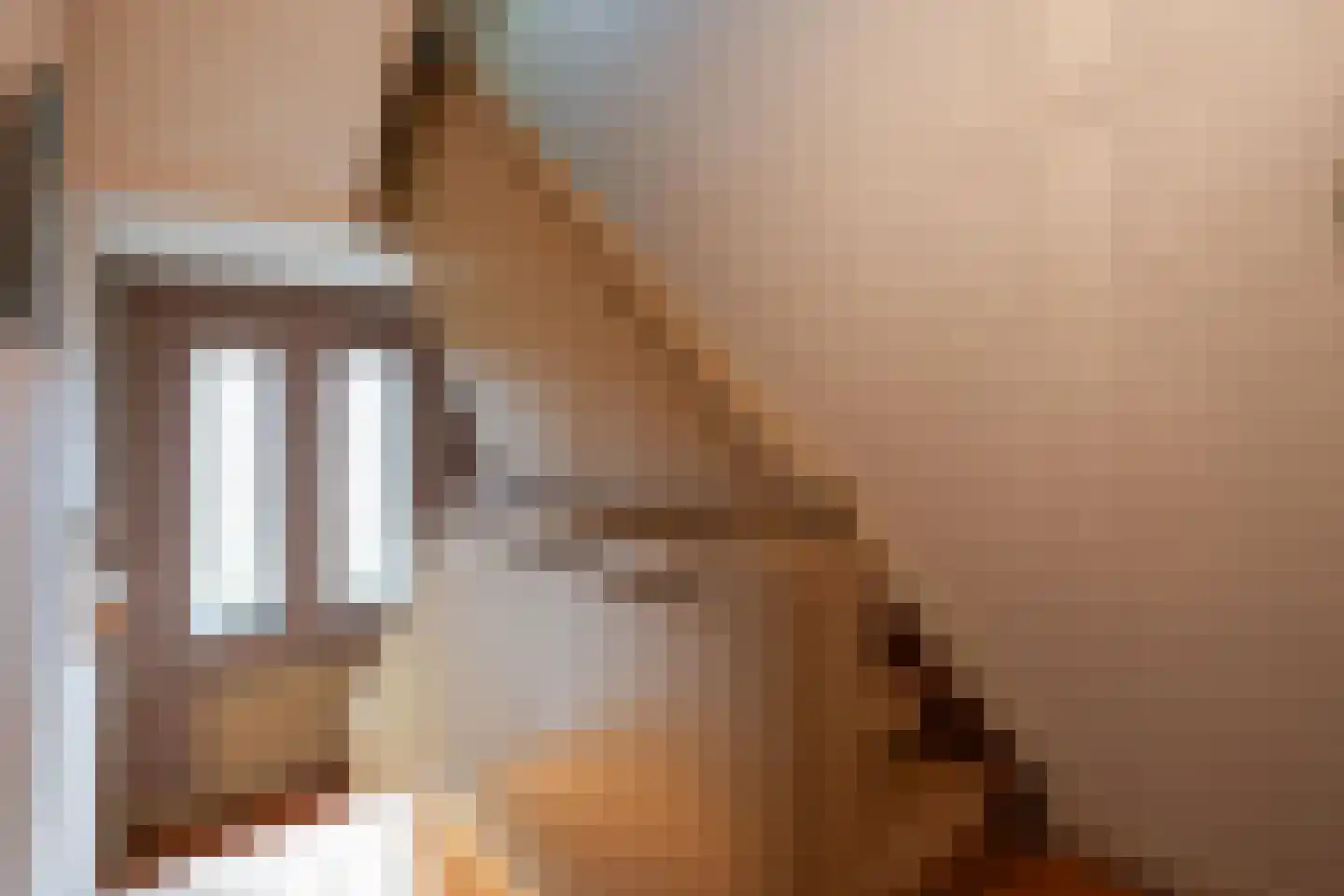 Prof. Cobbenhagenstraat 3 Gulpen thumbnail 21