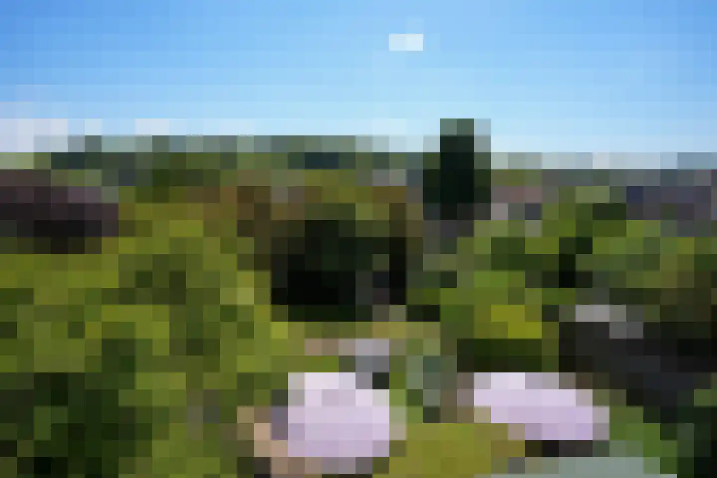Prof. Cobbenhagenstraat 3 Gulpen thumbnail 4
