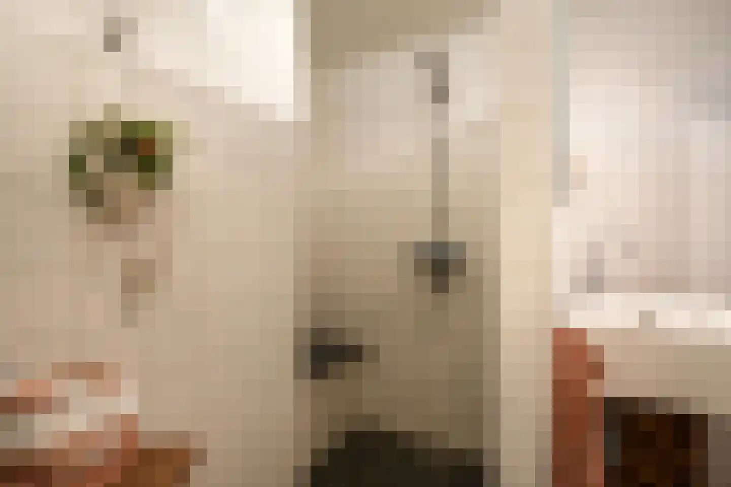 Prof. Cobbenhagenstraat 3 Gulpen thumbnail 44