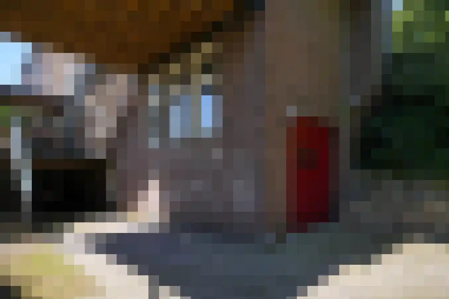 Prof. Cobbenhagenstraat 3 Gulpen thumbnail 46