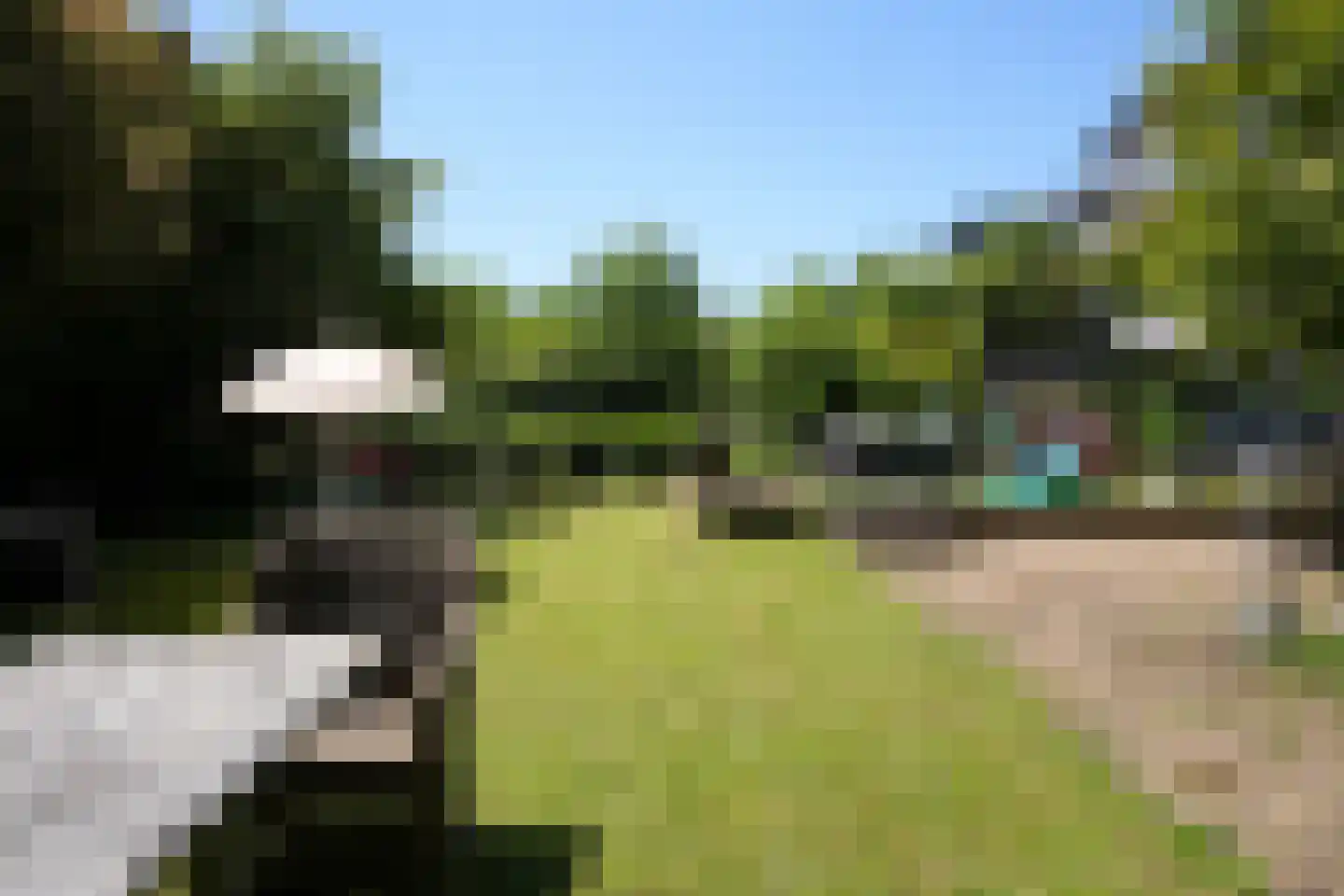 Prof. Cobbenhagenstraat 3 Gulpen thumbnail 49