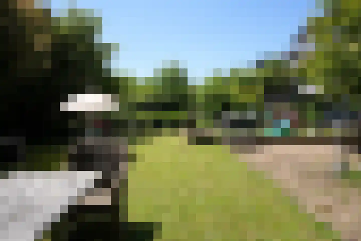 Prof. Cobbenhagenstraat 3 Gulpen thumbnail 49