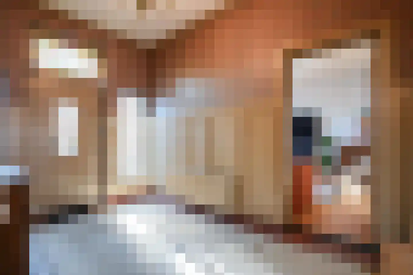 Prof. Cobbenhagenstraat 3 Gulpen thumbnail 7