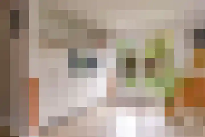 Prof de Vrijerlaan 10 Odijk thumbnail 16