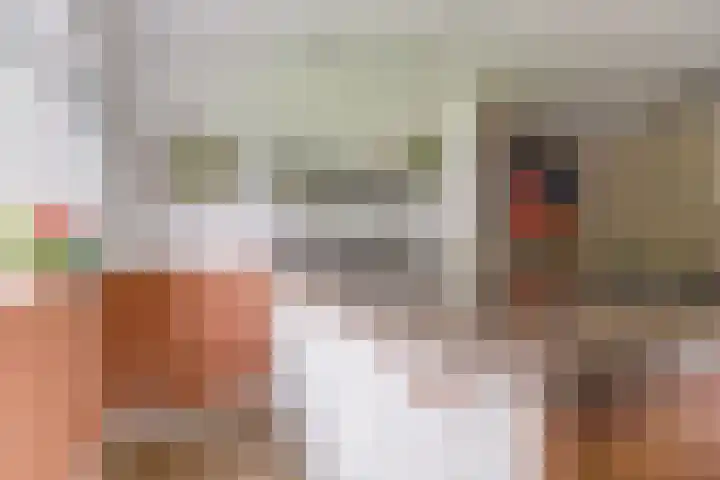 Prof de Vrijerlaan 10 Odijk thumbnail 18