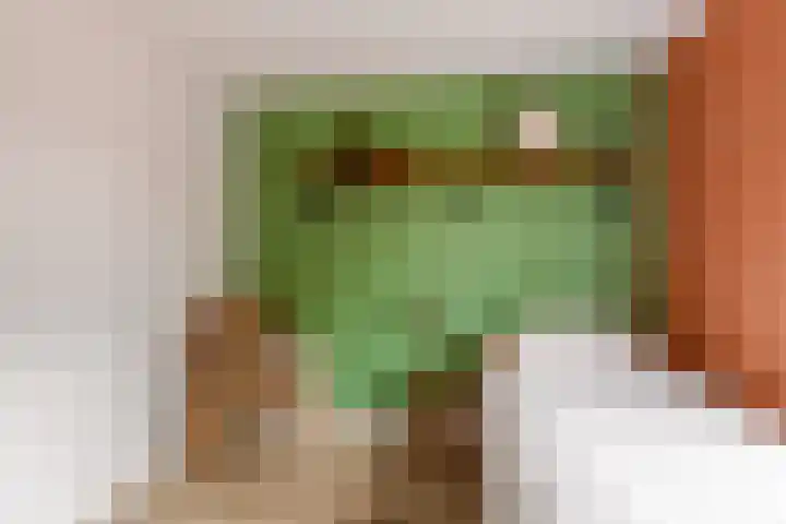 Prof de Vrijerlaan 10 Odijk thumbnail 29