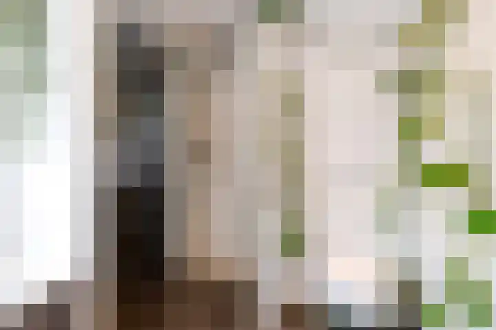 Prof de Vrijerlaan 10 Odijk thumbnail 34