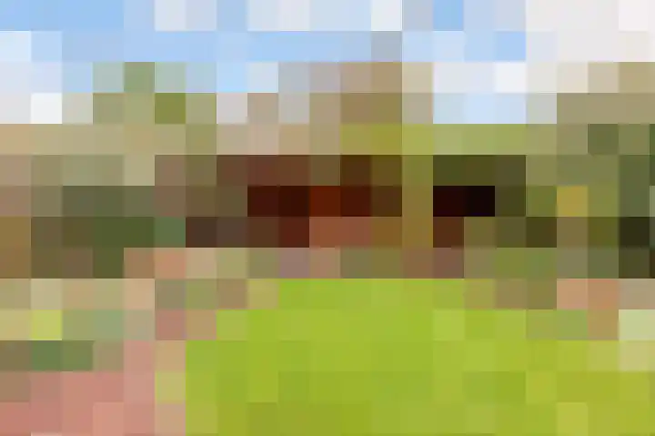Prof de Vrijerlaan 10 Odijk thumbnail 36