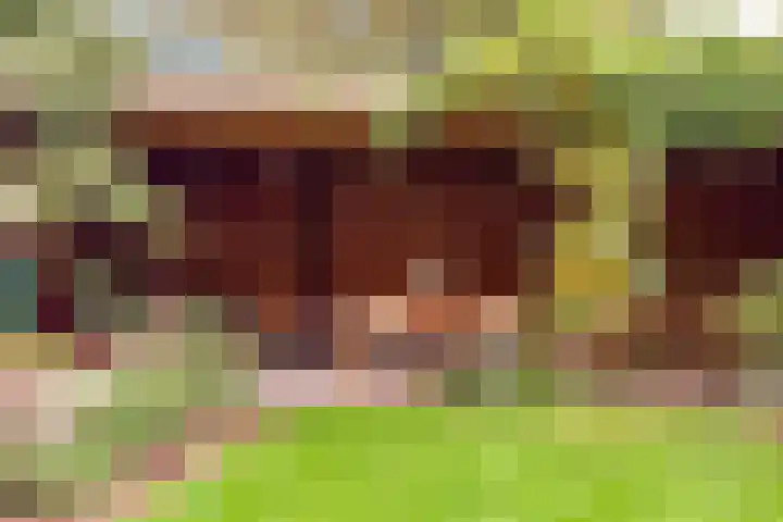 Prof de Vrijerlaan 10 Odijk thumbnail 38