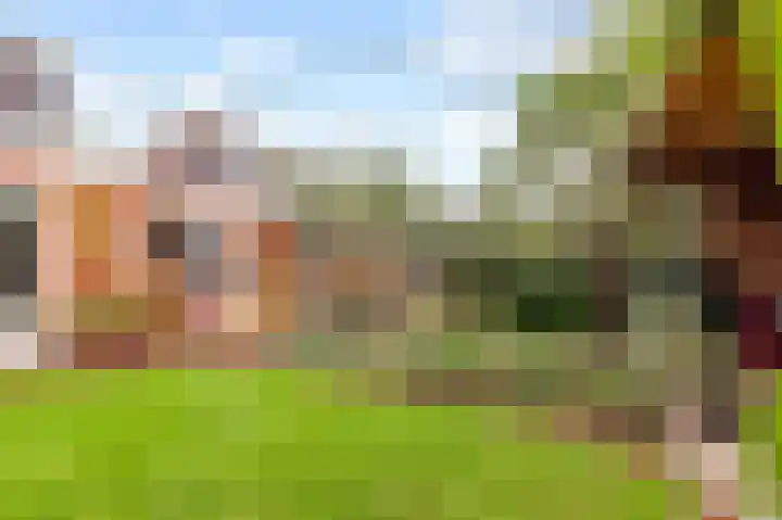 Prof de Vrijerlaan 10 Odijk thumbnail 39