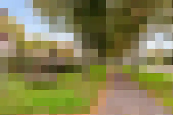 Prof de Vrijerlaan 10 Odijk thumbnail 53