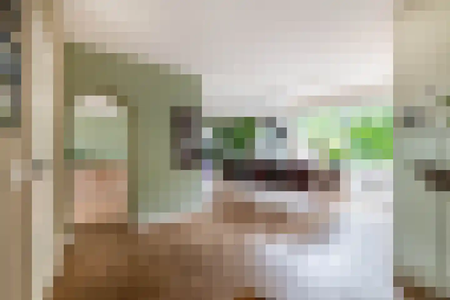 Prof de Vrijerlaan 30 Odijk thumbnail 11